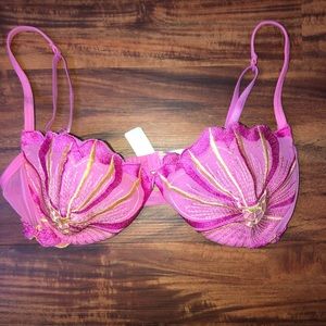 NWT 34B padded with cup embroidered pink bra